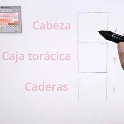 Primera parte de curso completo aprender a dibujar las proporciones del cuerpo humano